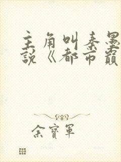 主角叫秦墨的小说《都市巅峰高手》