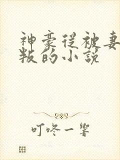 神豪从被妻子背叛的小说