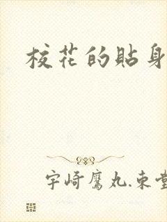 校花的贴身杀手