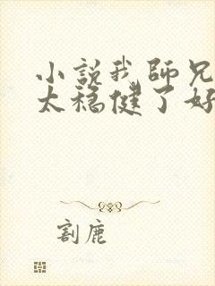 小说我师兄实在太稳健了好看吗