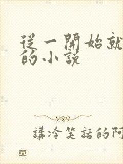 从一开始就无敌的小说封面