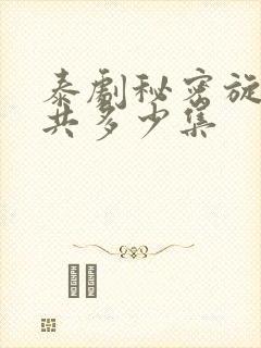 泰剧秘密旋律一共多少集封面