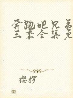 奔跑吧兄弟第十三季全集免费封面