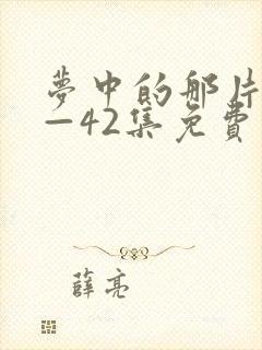 梦中的那片海1—42集免费观看