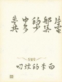 梦中的那片海一共多少集电视剧