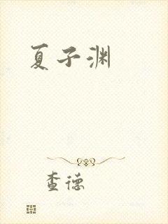夏子渊封面