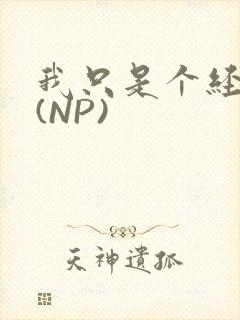 我只是个经纪人(NP)封面