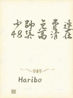 少帅免费连续剧48集高清在线观看