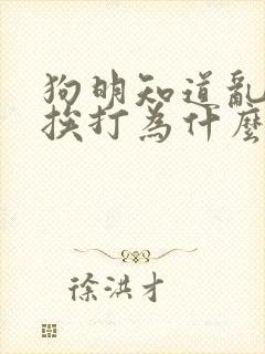 狗明知道乱尿会挨打为什么还乱尿封面