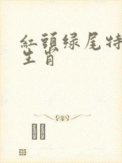 红头绿尾特哪个生肖封面