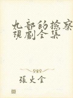 九部的检察官电视剧全集