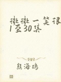 微微一笑很倾城1至30集