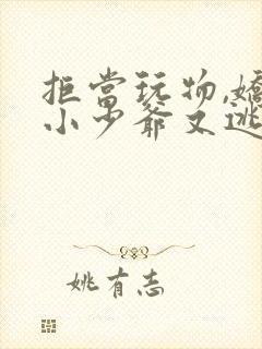 拒当玩物,娇软小少爷又逃跑了小说免费阅读