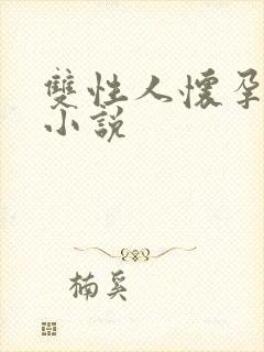 双性人怀孕生子小说