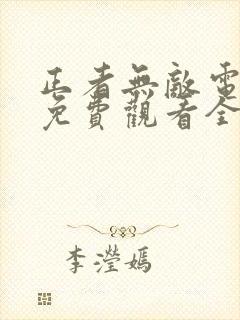 正者无敌电视剧免费观看全集封面