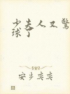 少夫人又惊艳全球了封面