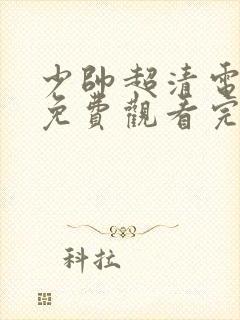 少帅超清电视剧免费观看完整版