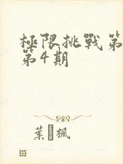 极限挑战第6季第4期