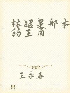 林昭是哪本小说的主角