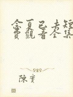 念夏已去短剧免费观看全集