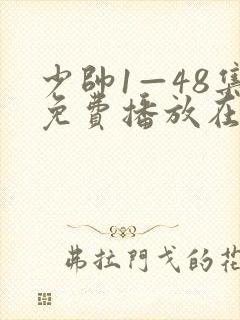 少帅1—48集免费播放在线观看