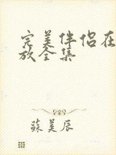 完美伴侣在线播放全集