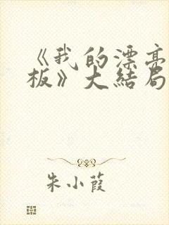 《我的漂亮女老板》大结局剧情封面