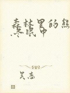 森林里的熊先生.冬眠中