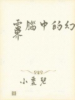 电脑中的幻想世界封面