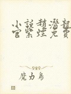 小说赵潜龙和上官紫烟免费阅读