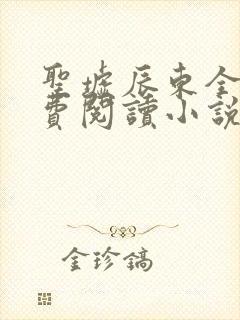 圣墟辰东全文免费阅读小说封面