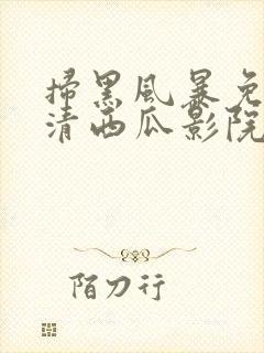 扫黑风暴免费高清西瓜影院