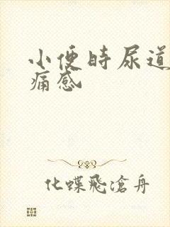 小便时尿道口刺痛感