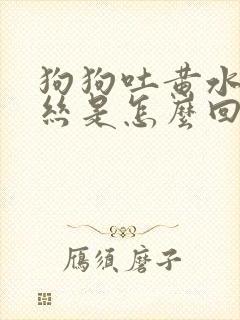 狗狗吐黄水带血丝是怎么回事