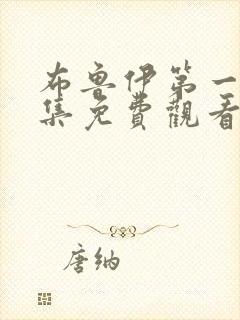 布鲁伊第一季全集免费观看