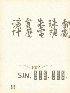 演员朱珠都演过什么电视剧