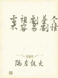 电视剧养个孩子不容易剧情介绍封面