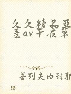 久久精品亚洲国产av午夜草封面