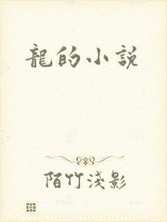 龙的小说