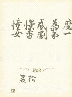 憧憬成为魔法少女番剧第一季