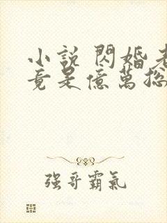 小说 闪婚老公竟是亿万总裁