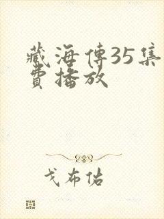 藏海传35集免费播放封面