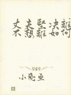 丈夫坚决离婚我不想离如何对付