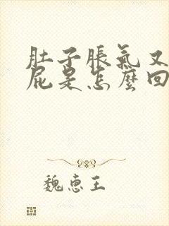 肚子胀气又爱放屁是怎么回事