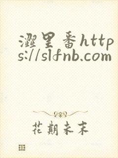 涩里番https://slfnb.com
