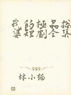 我的极品总裁老婆短剧全集在线观看免费