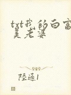 txt我的白富美老婆封面