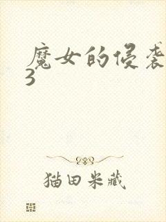 魔女的侵袭0.3