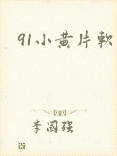 91小黄片软件