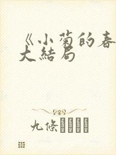 《小菊的春天》大结局